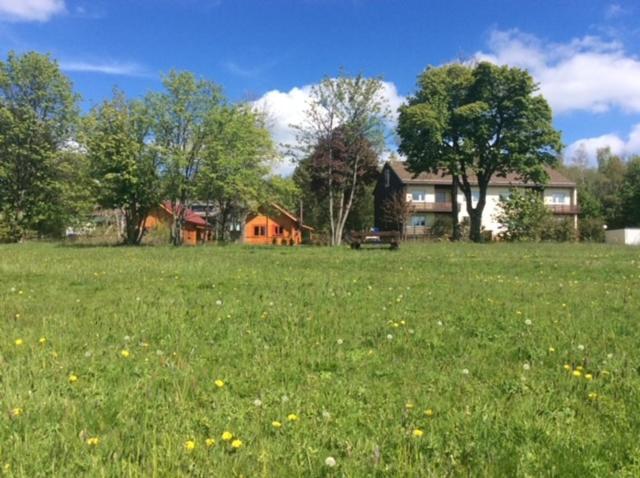 Ferienwohnung Harzblick 4 Braunlage Eksteriør billede