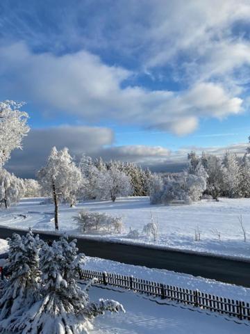 Ferienwohnung Harzblick 4 Braunlage Eksteriør billede
